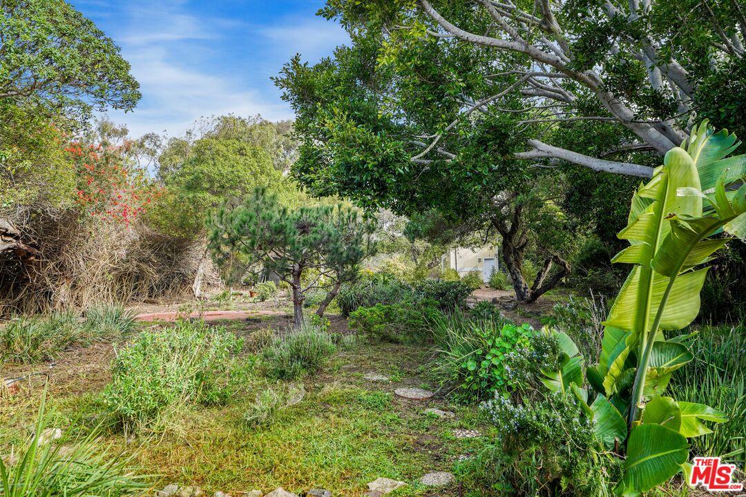 Ocean View Point Dume Property