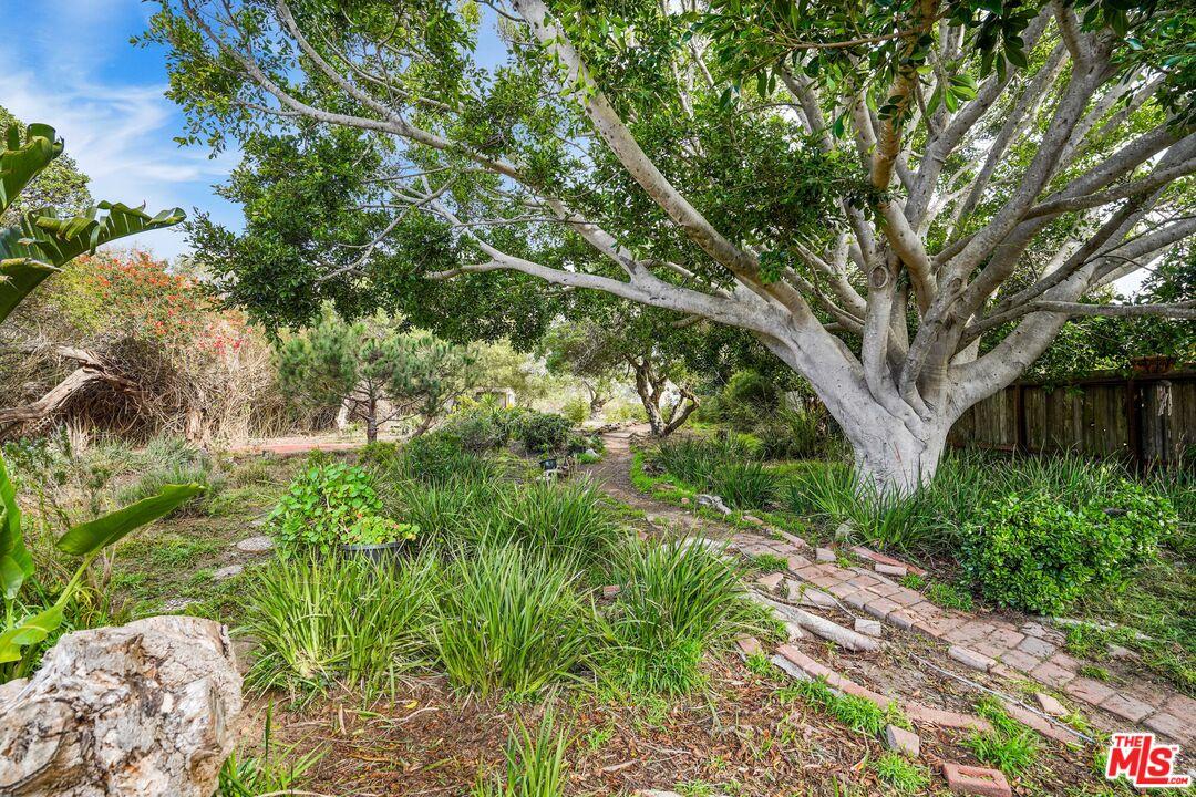 Ocean View Point Dume Property